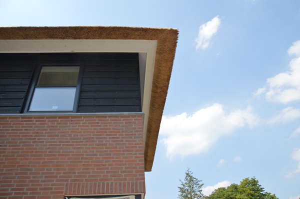 Barendrecht (NL) - Roodpaars HV WF 