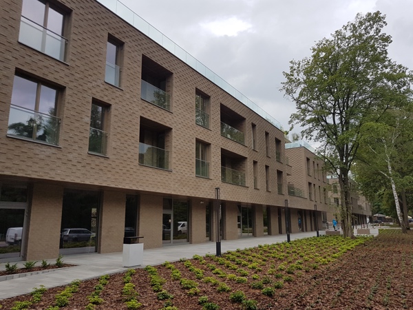 Polen - Grijs z.z. HV EF / DR41B