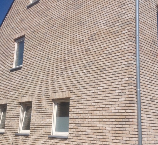 As (B) - Texas VB EF