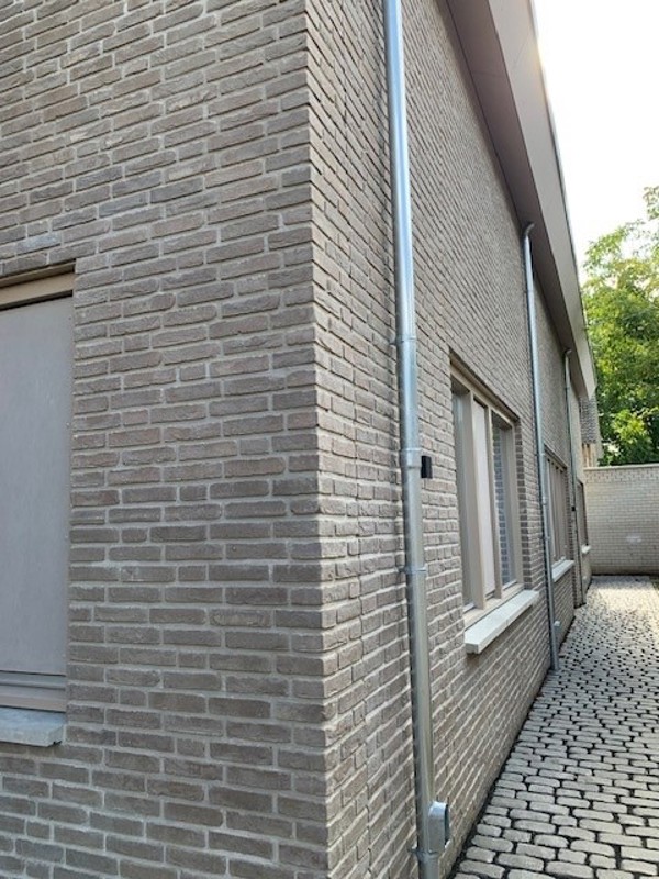 Eindhoven (NL) - Grus HV WF