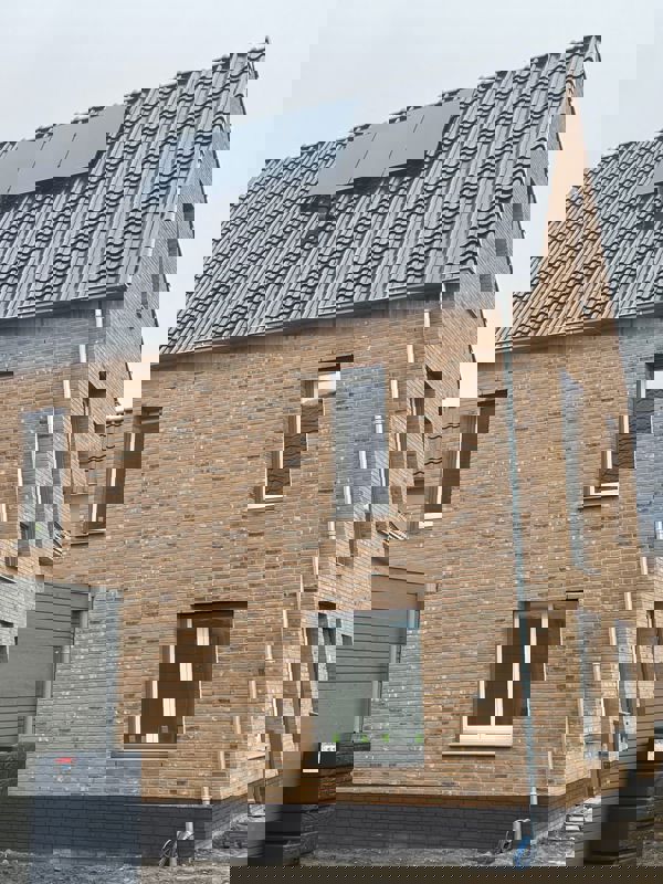 Zeewolde (NL) Macaroon Yellow Flame WF HV