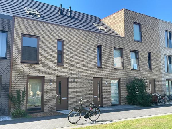 Kerkuil en Bosuil Amersfoort (NL) - Aqua Geel WF